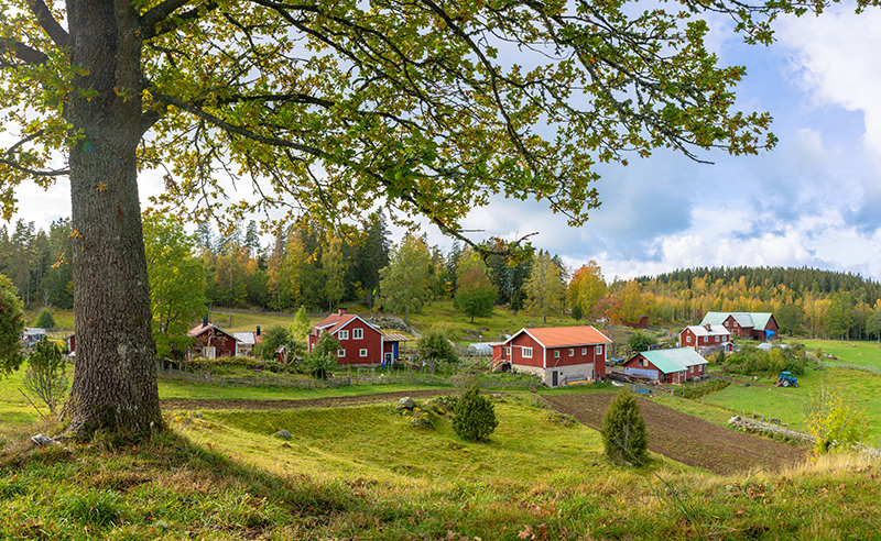 Vad kännetecknar kommunerna där SD gick fram som mest?