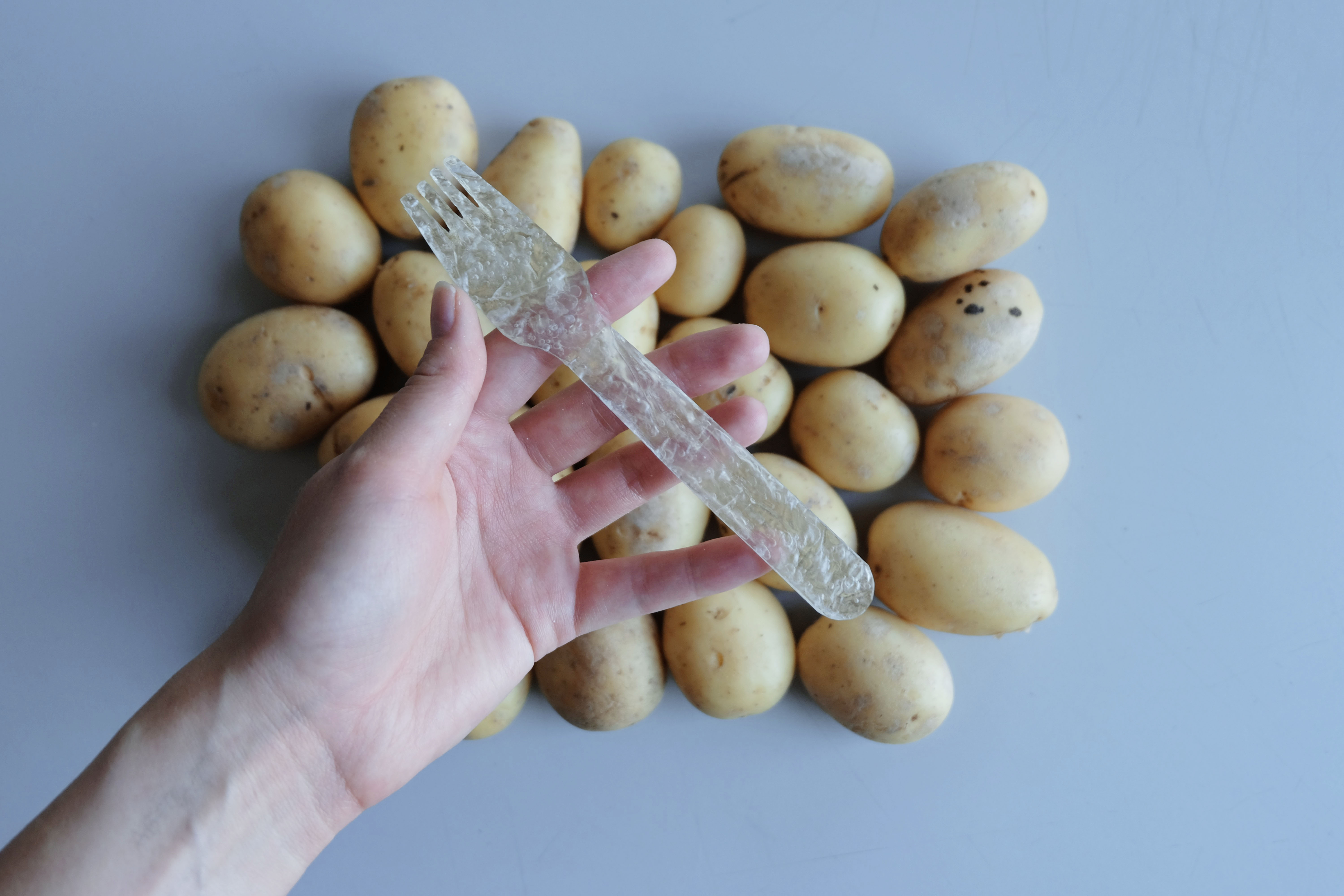 Pontus Törnqvist, the first-ever winner of JDA in Sweden, invention, Potato Plastic.