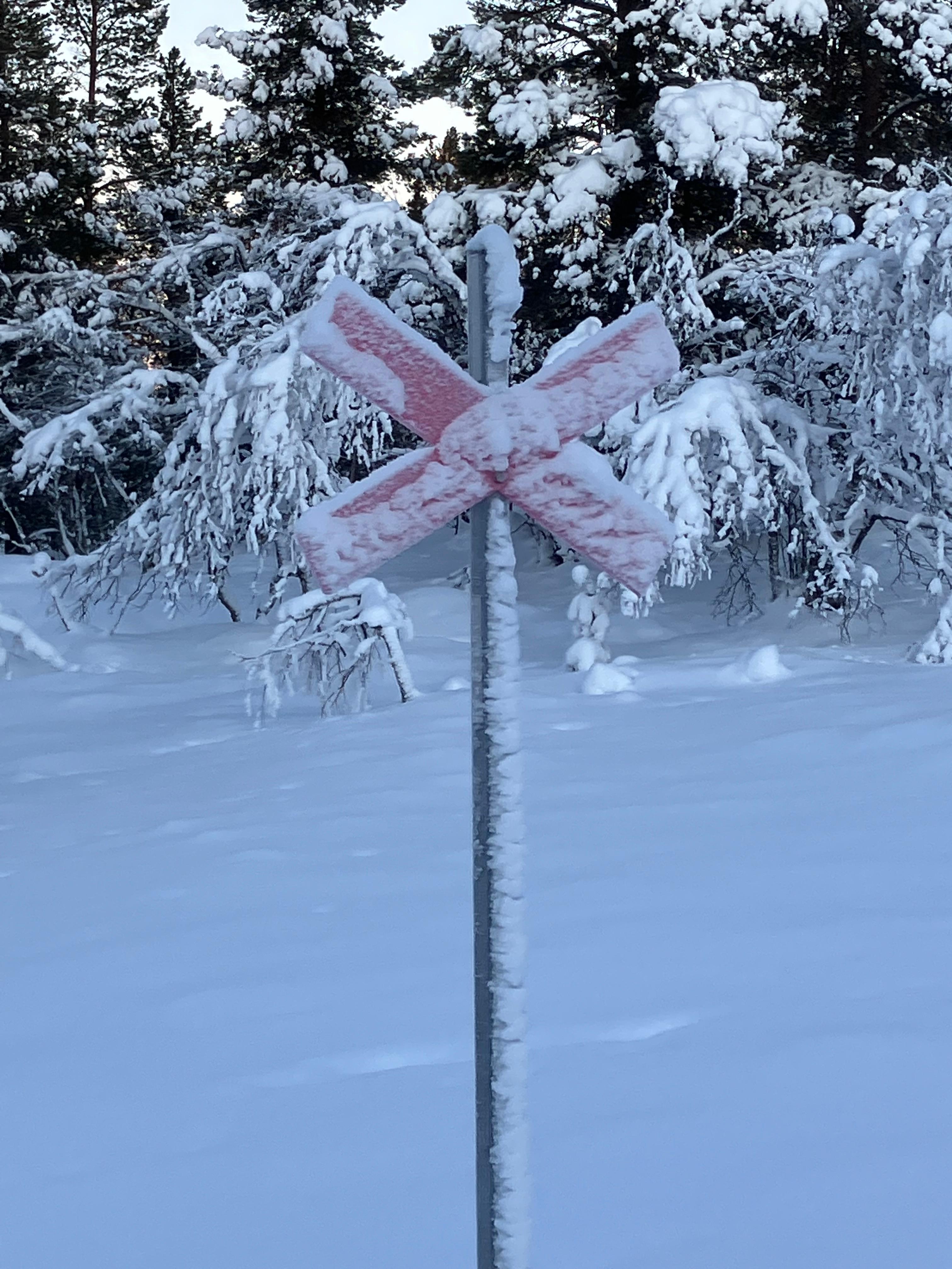 (o)sportsligt lov eller?