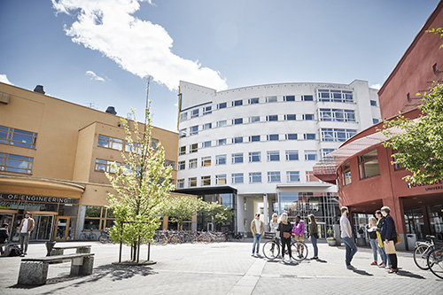 Students on campus on a sunny day