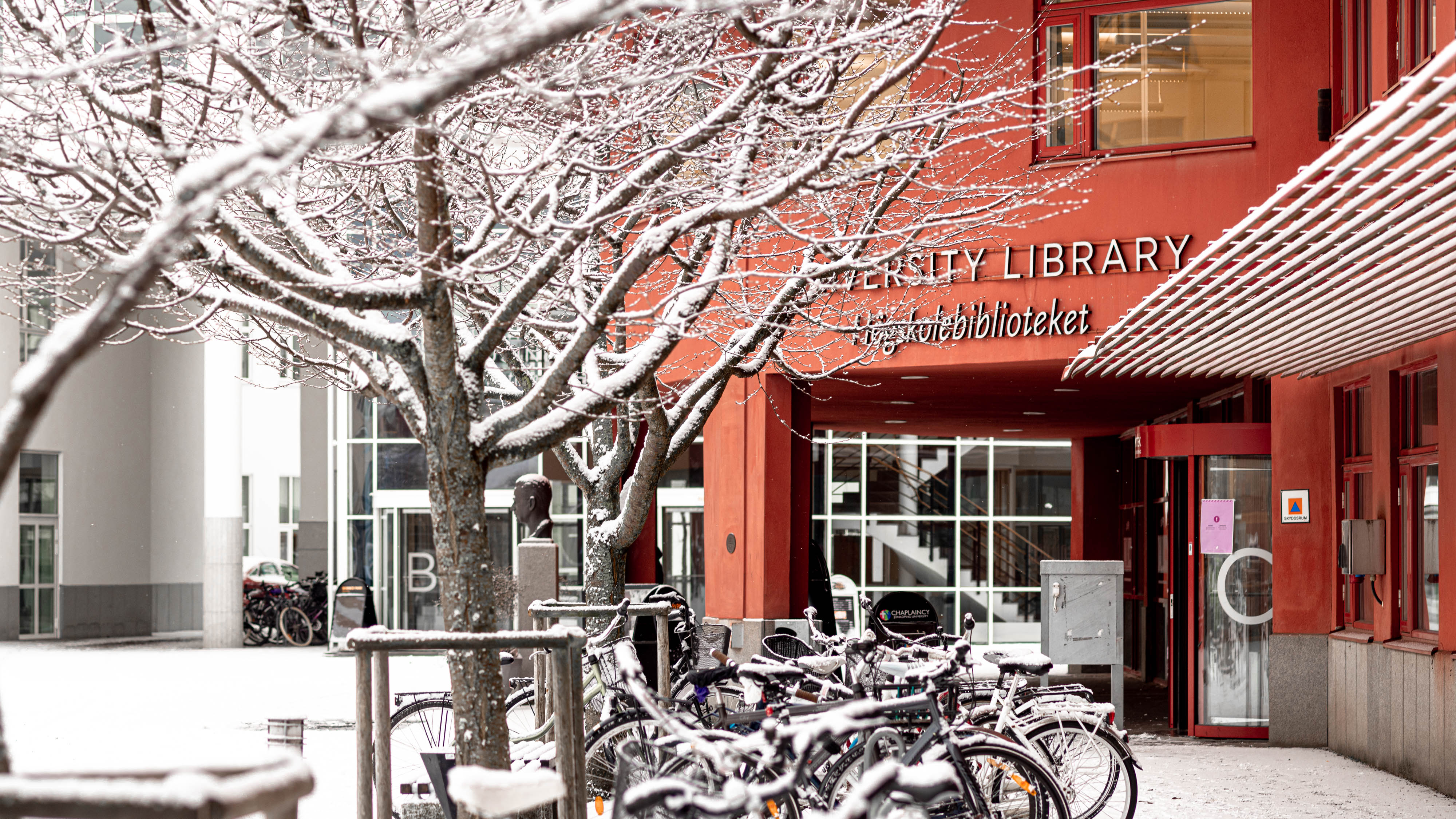 The library entrance with snow.