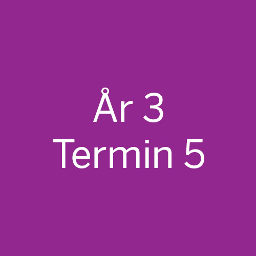 År3-Termin5