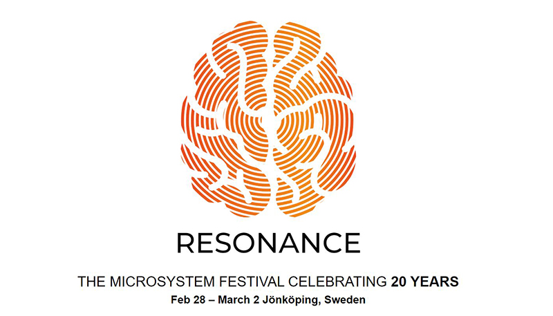 Microsystem festival