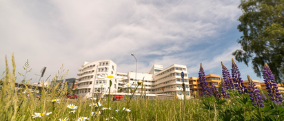 Sommarblommor i förgrunden och campus i bakgrunden